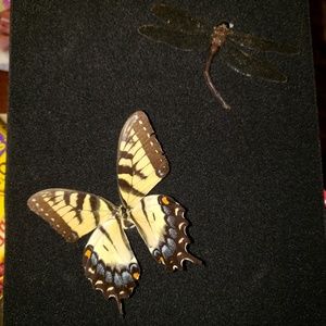 Meet your Posher, Tina